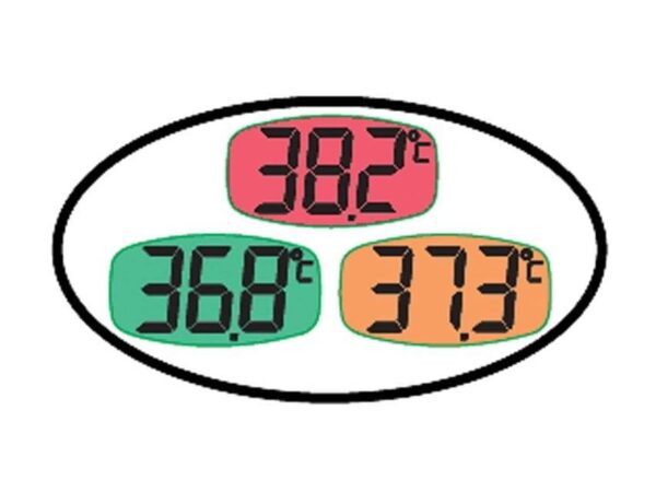 Termometro digitale BL3 ampio schermo °C - immagine 3