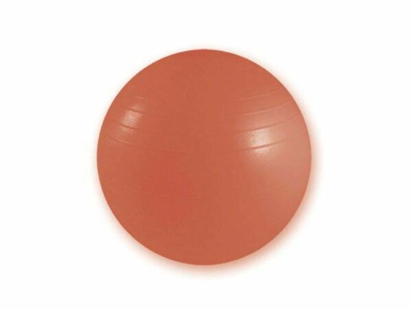 Palla resistente per fisioterapia diametro 55 cm - rossa