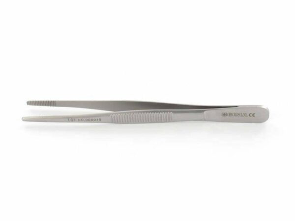pinza anatomia