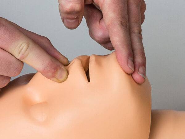 4 manichini CPR practi-man advance - immagine 2